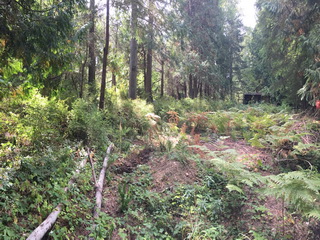 Picture of Point Roberts Parcel Number 415335-062139